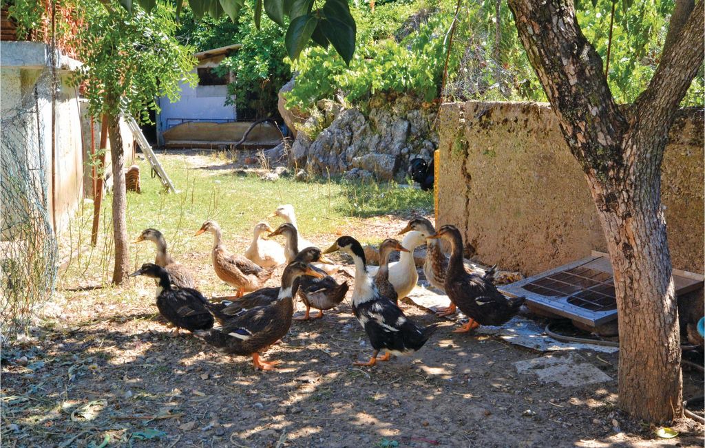 Photo of Others in Kucice