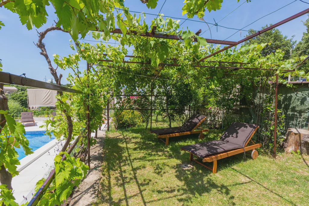 Photo of Others in Krizisce