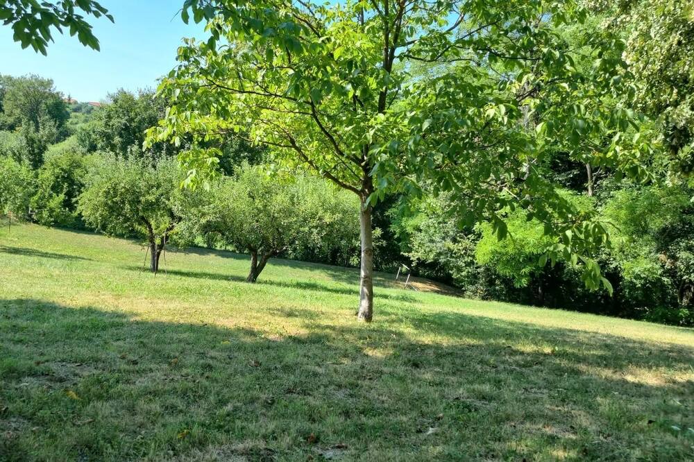 Photo of Outdoor in Oroslavje