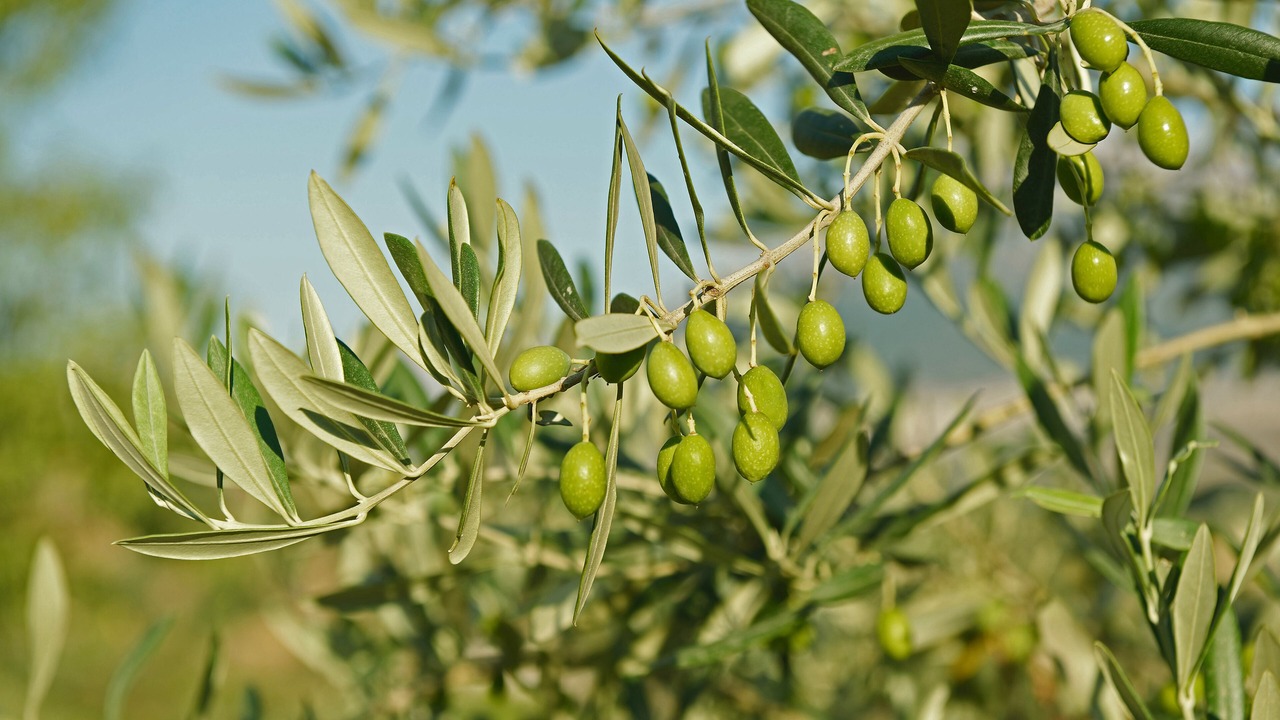 Photo of Outdoor in Grabri