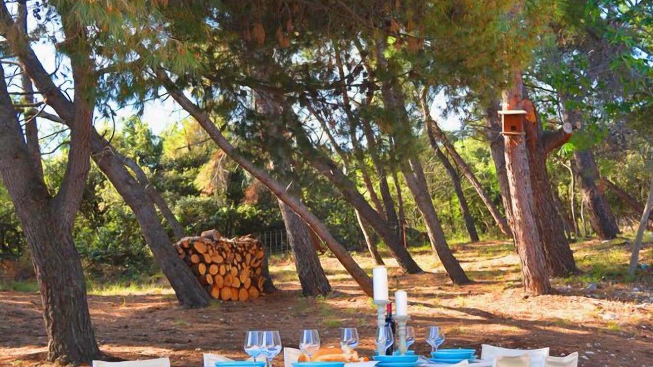 Photo of Outdoor in Koromacno