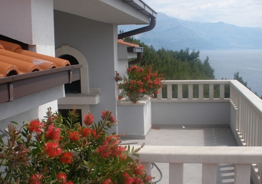 Photo of Outdoor in Medici