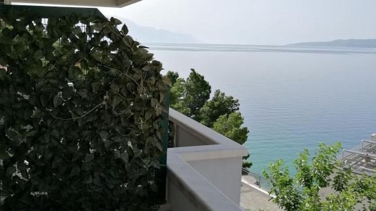 Photo of Outdoor in Medici