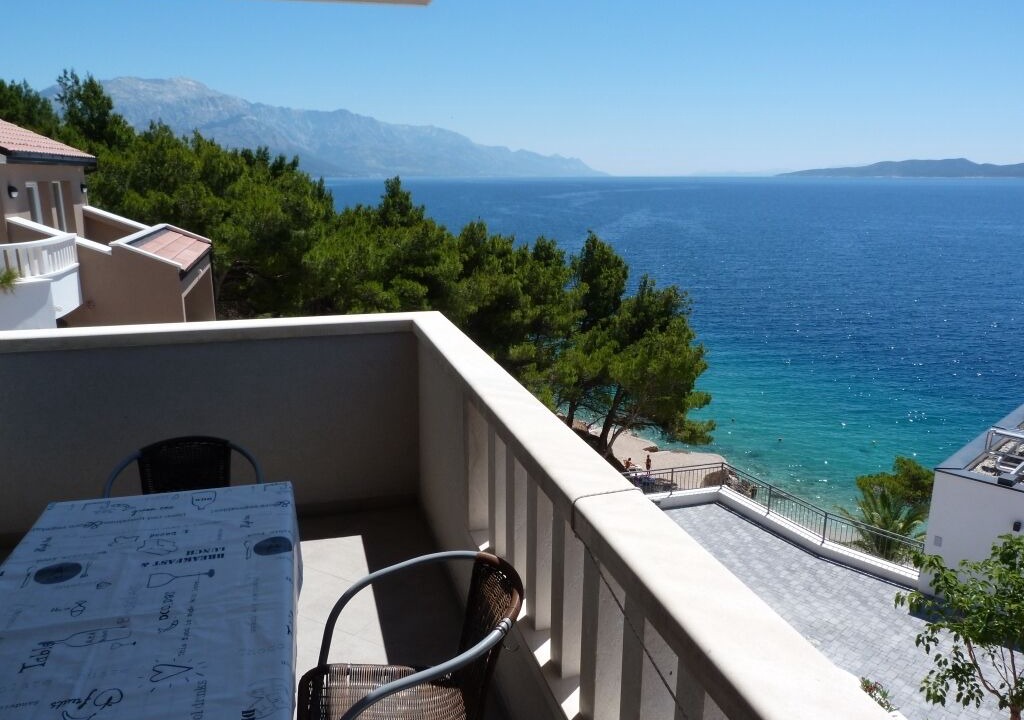 Photo of Outdoor in Medici