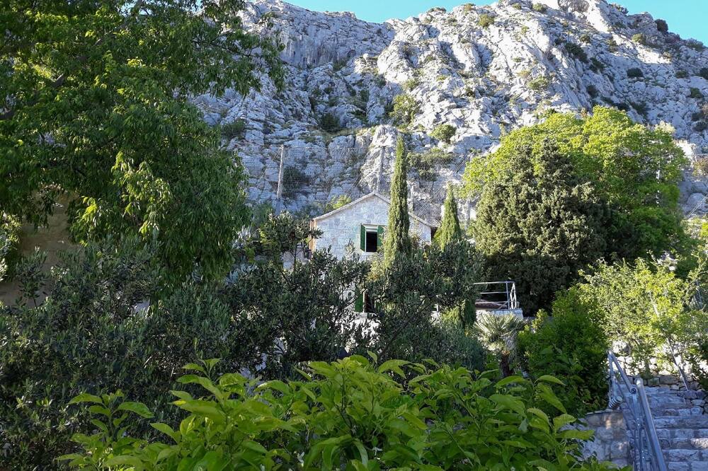 Photo of Outdoor in Borak