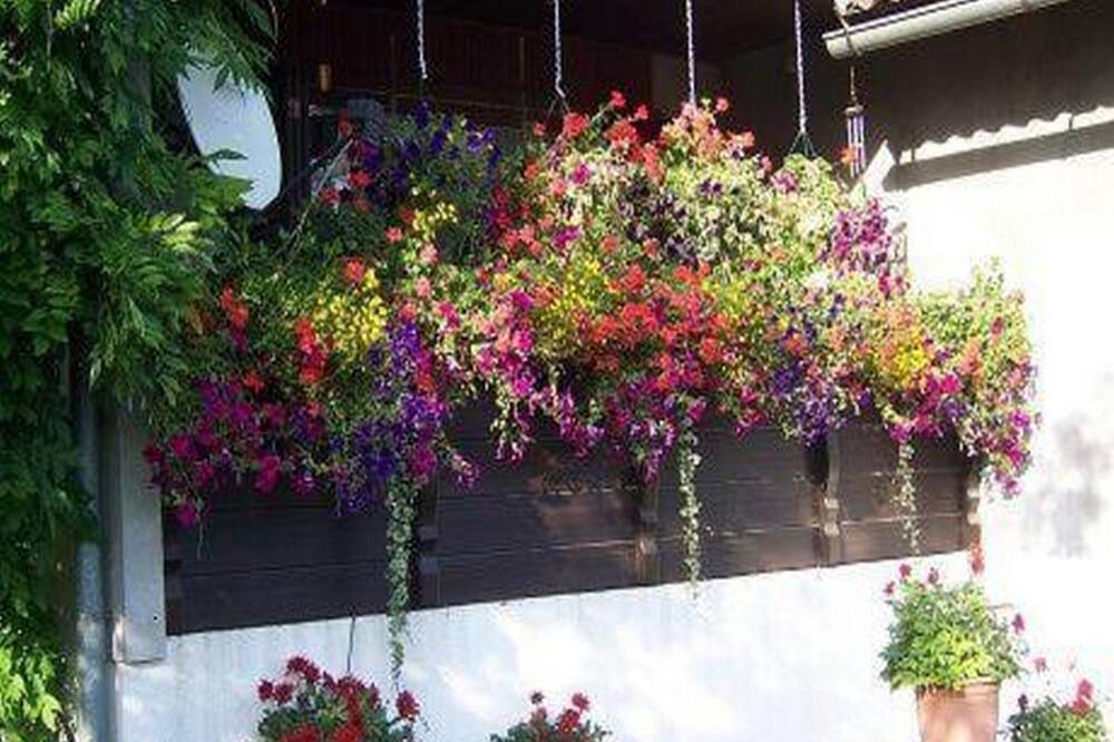 Photo of Outdoor in Delnice