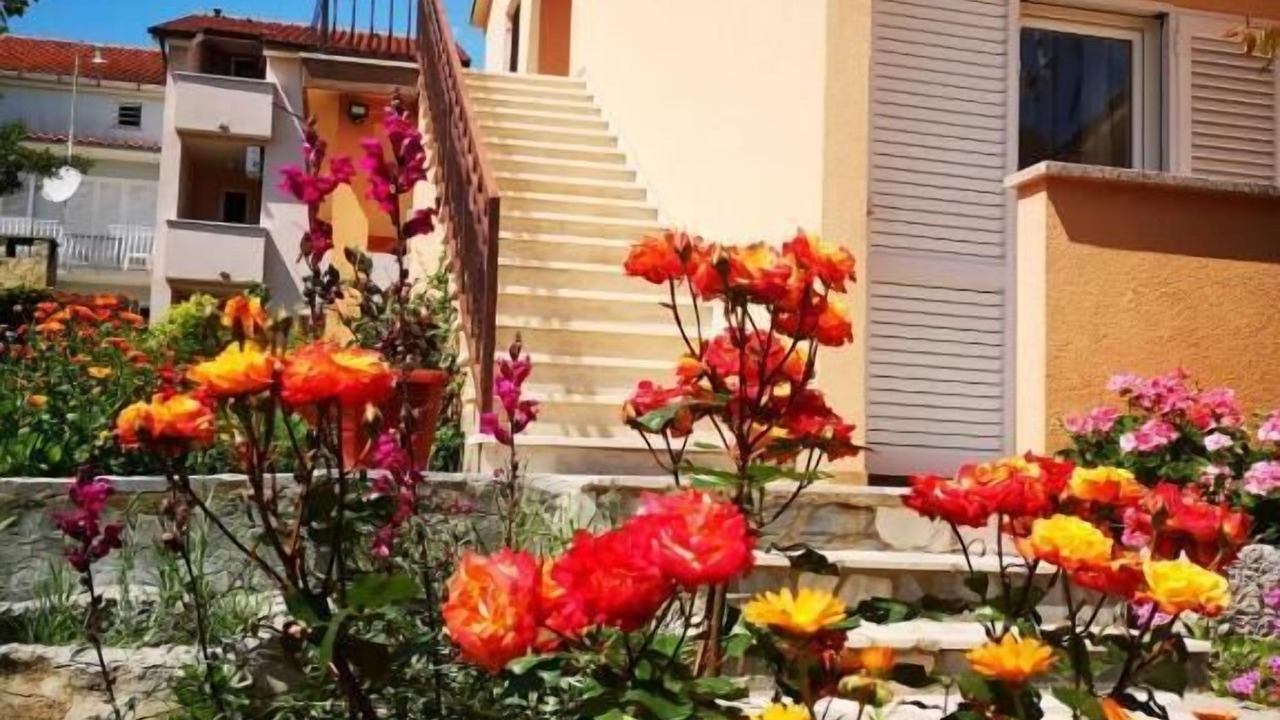Photo of Outdoor in Cres