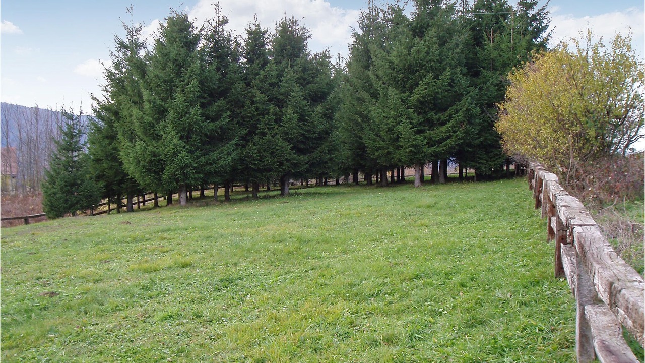 Photo of Others in Presika