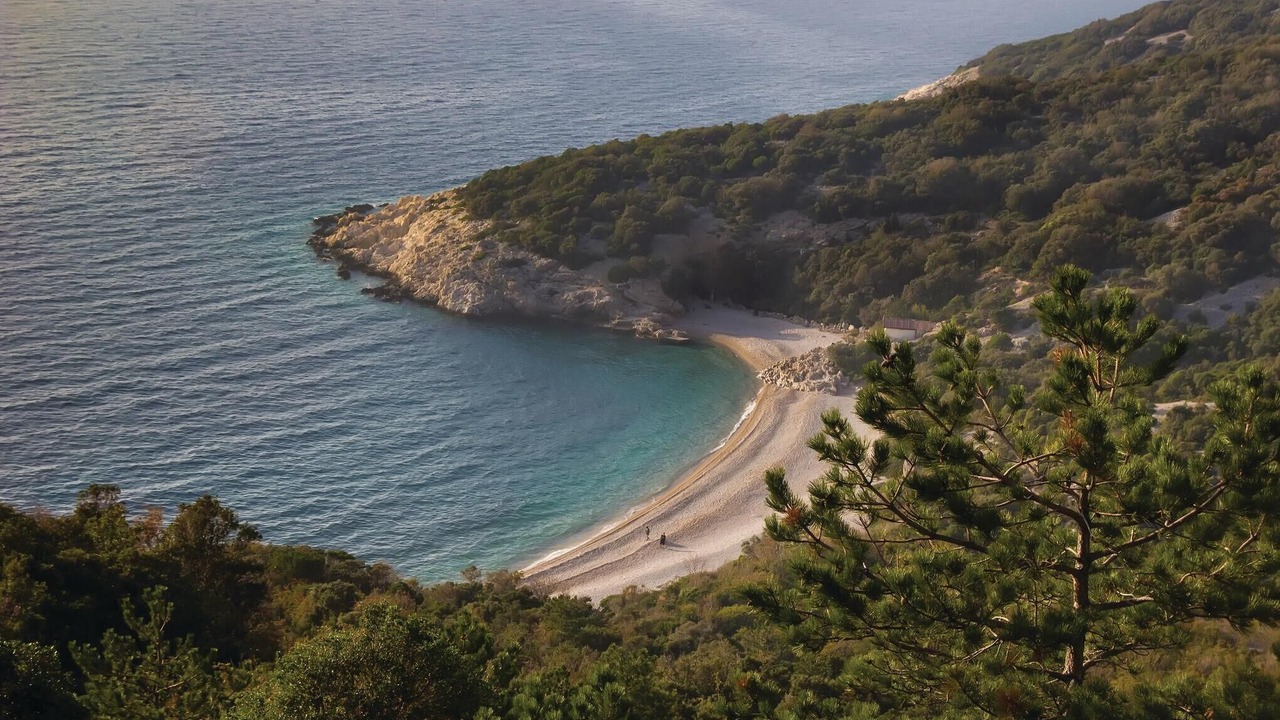 Photo of Others in Martinscica