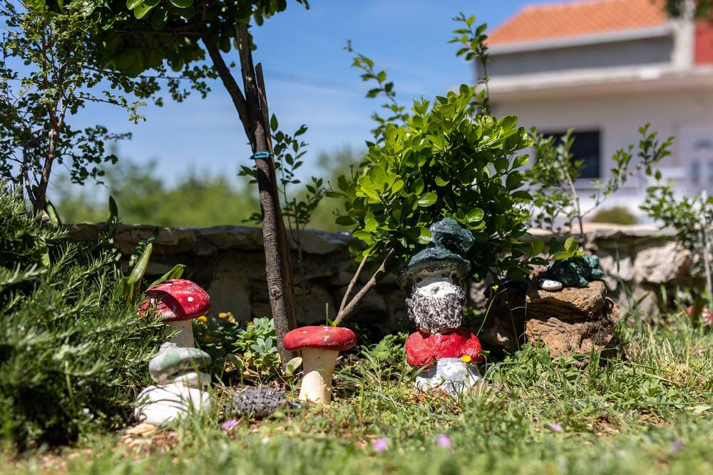 Photo of Outdoor in Sestanovac