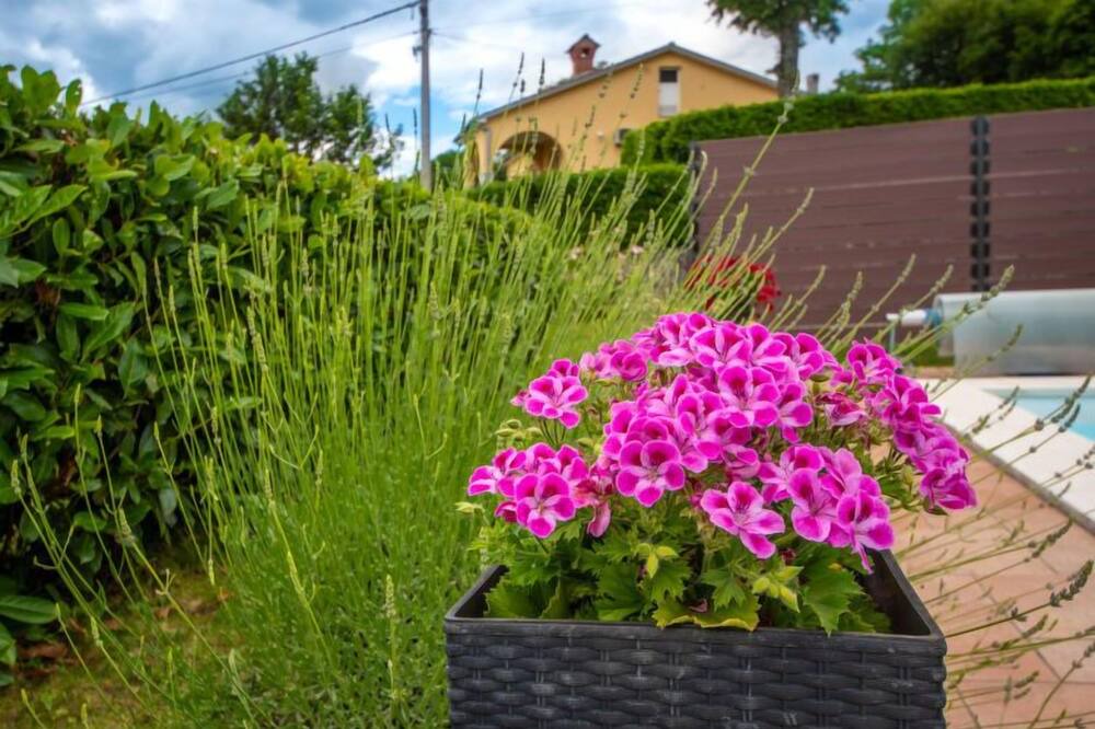 Photo of Outdoor in Viskovo