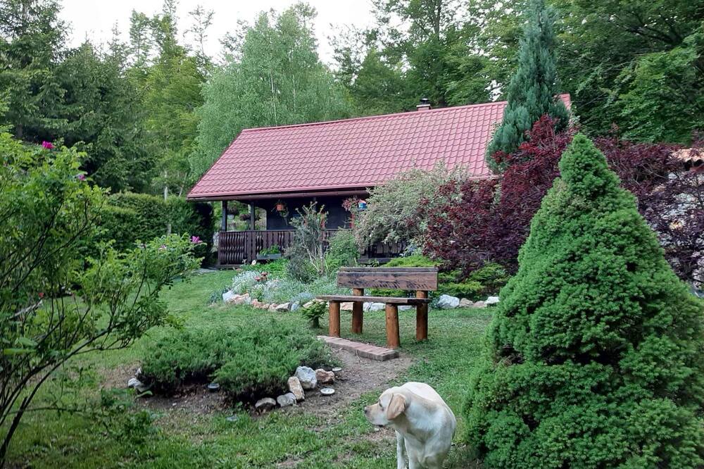 Photo of Outdoor in Lokve