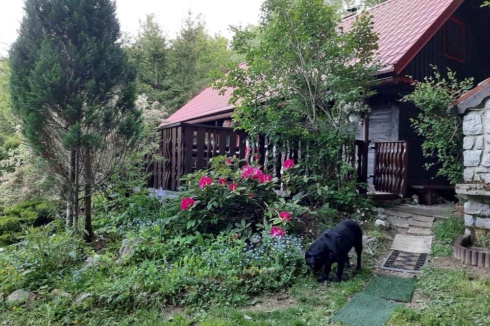 Photo of Outdoor in Lokve