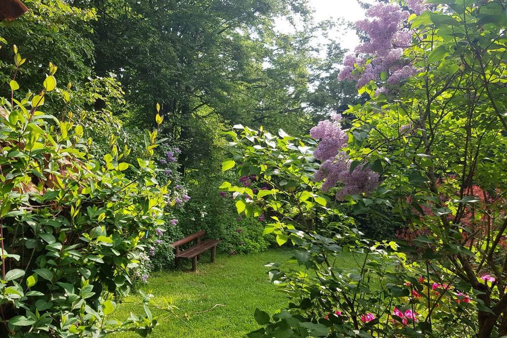 Photo of Outdoor in Lokve