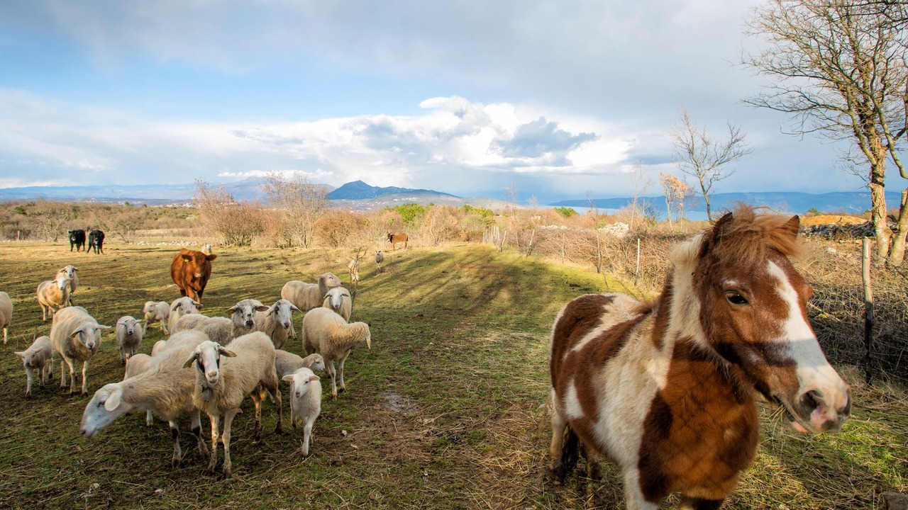 Photo of Outdoor in Bartici