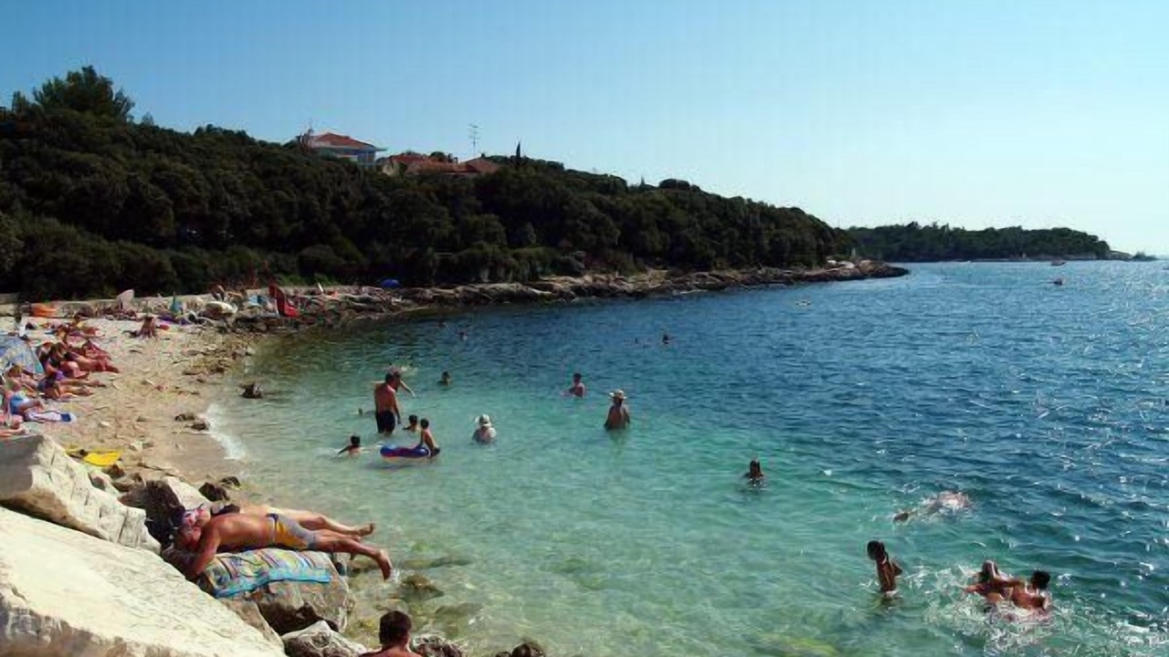 Photo of Others in Pjescana Uvala