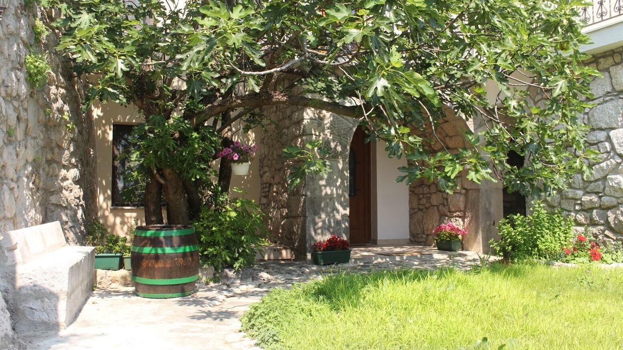 Photo of Outdoor in Grizane