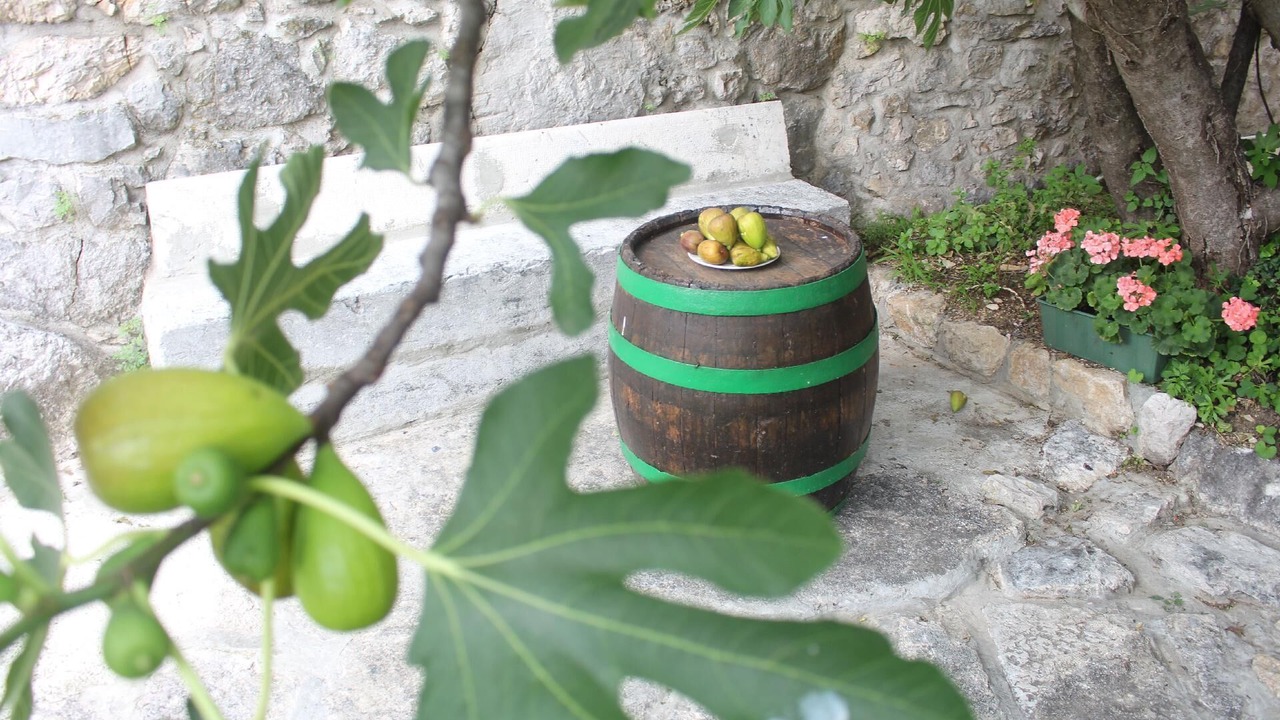 Photo of Outdoor in Grizane
