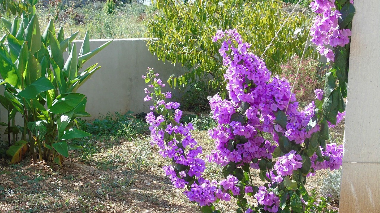 Photo of Outdoor in Vinisce