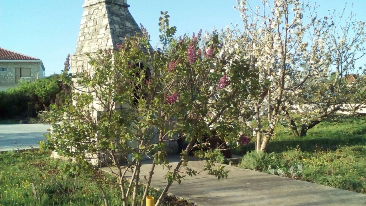 Photo of Outdoor in Gornje Selo