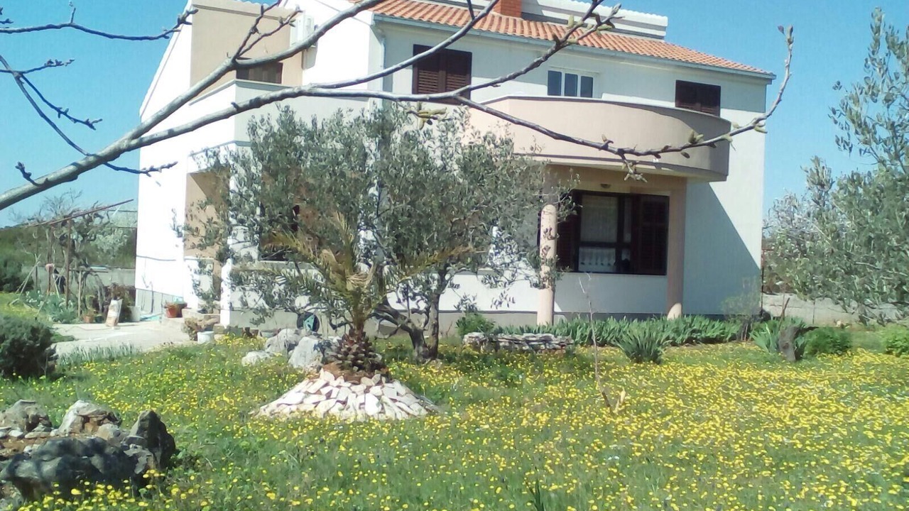 Photo of Outdoor in Gornje Selo