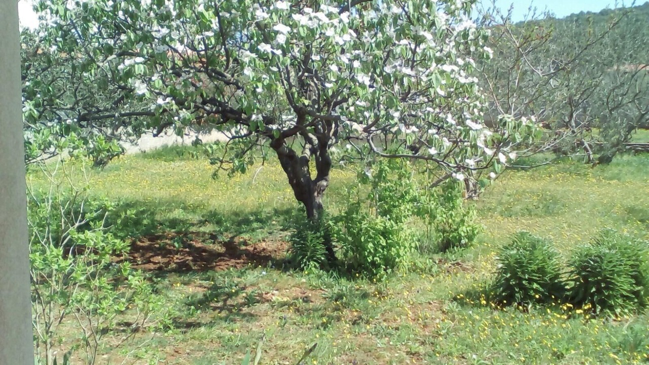 Photo of Outdoor in Gornje Selo