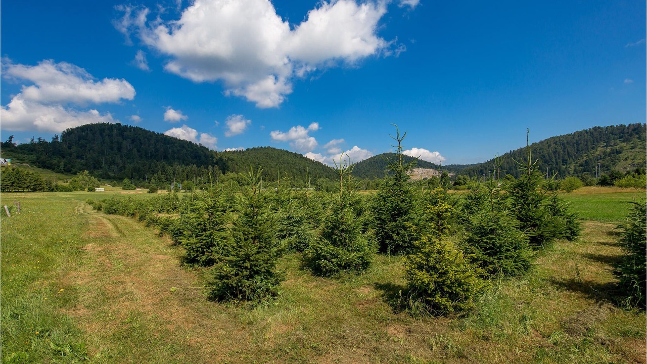 Photo of Outdoor in Vrata