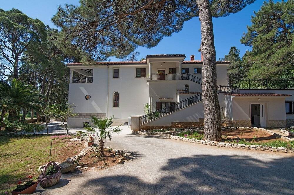 Photo of Outdoor in Cove Murtar