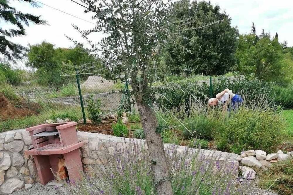 Photo of Outdoor in Gondolici