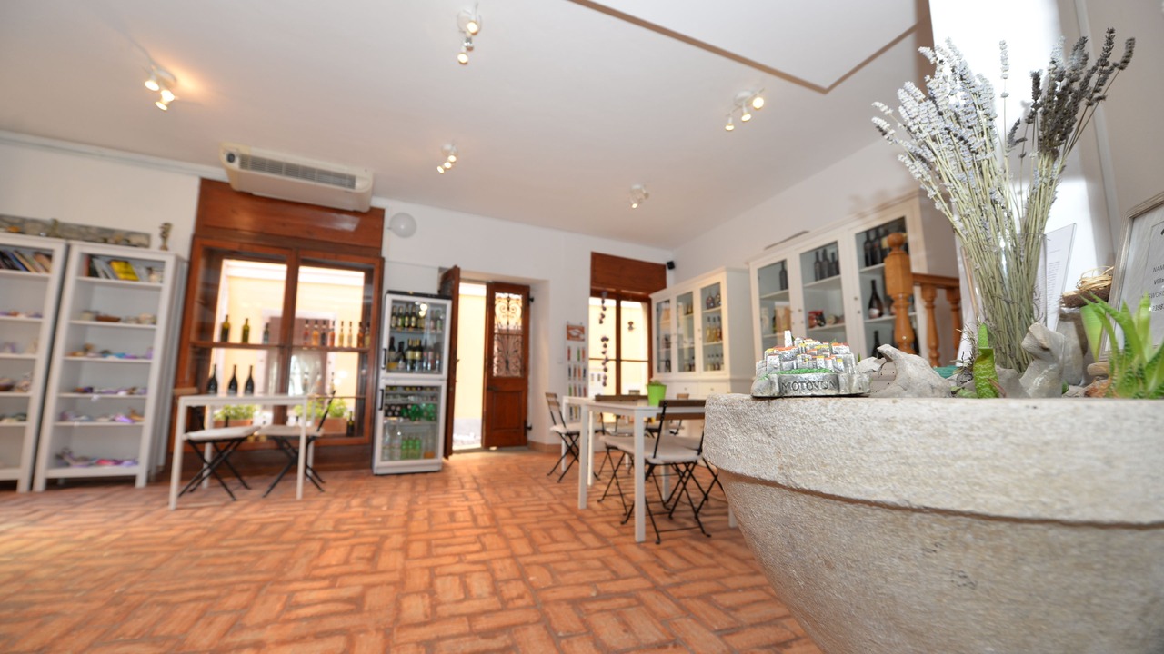 Photo of Others in Motovun