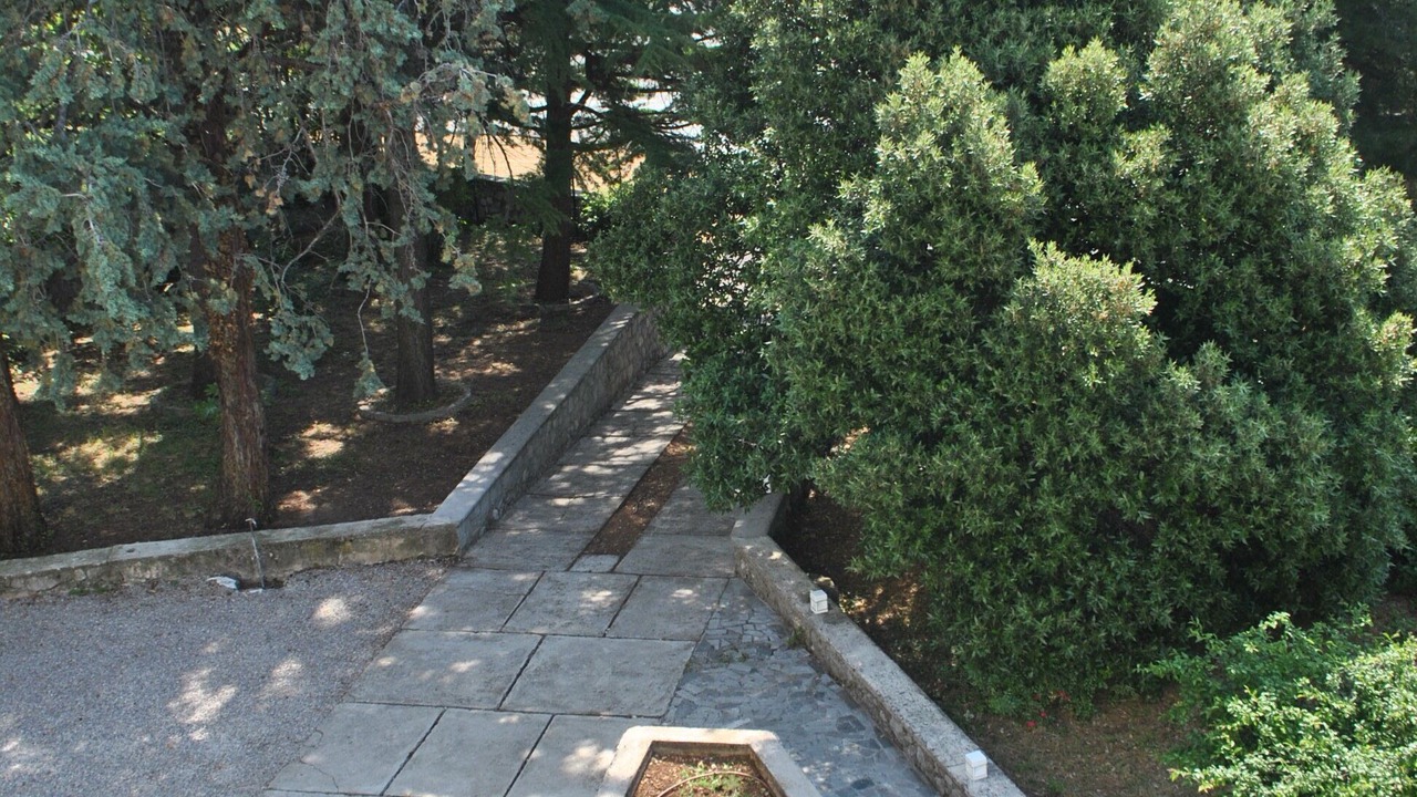 Photo of Outdoor in Bakar