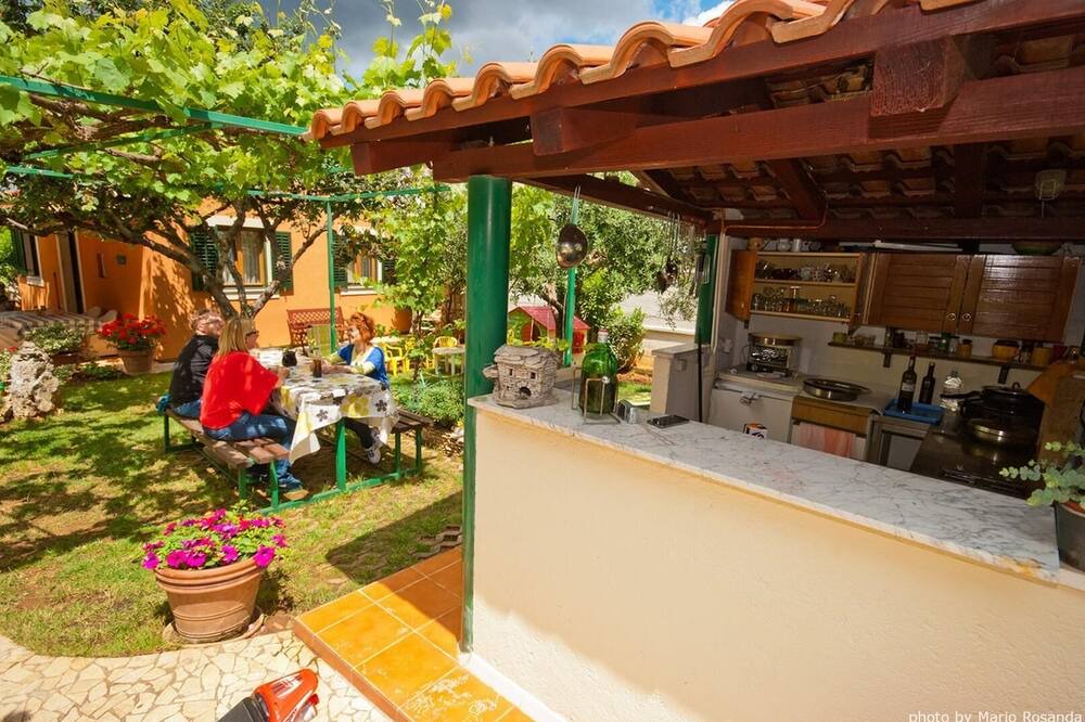 Photo of Outdoor in Vinkuran
