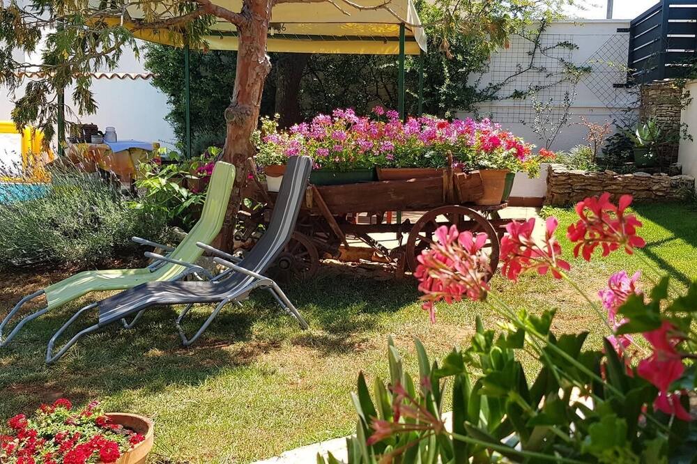Photo of Outdoor in Vinkuran