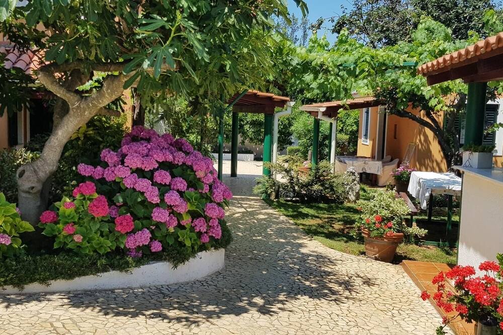 Photo of Outdoor in Vinkuran