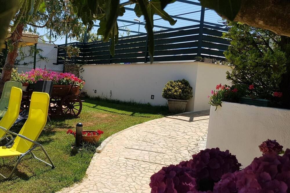 Photo of Outdoor in Vinkuran