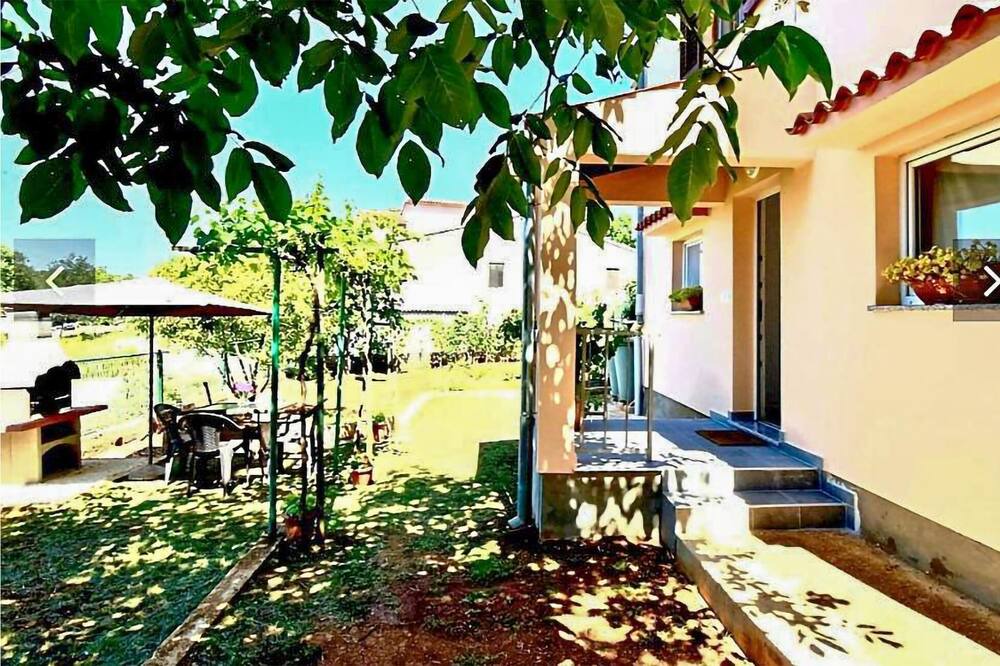 Photo of Outdoor in Loborika