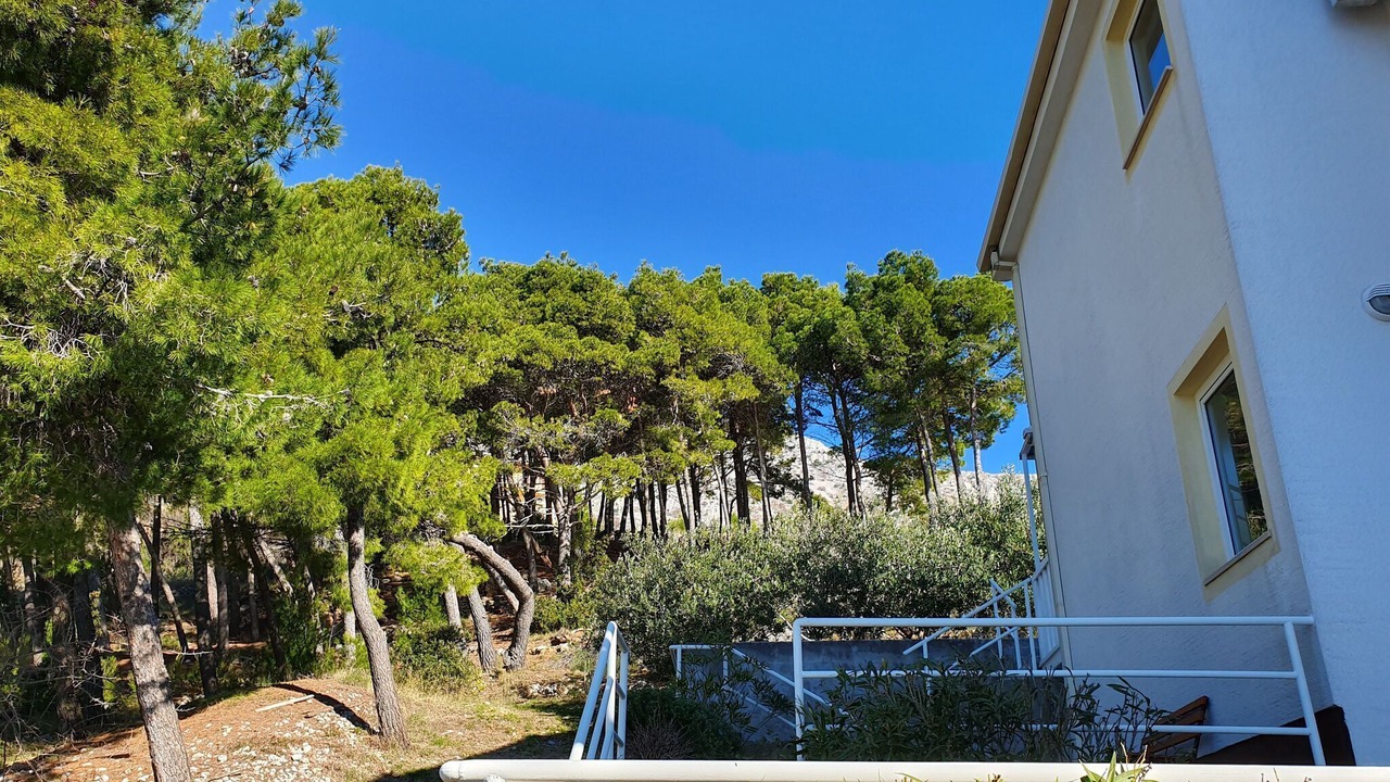 Photo of Outdoor in Stanici