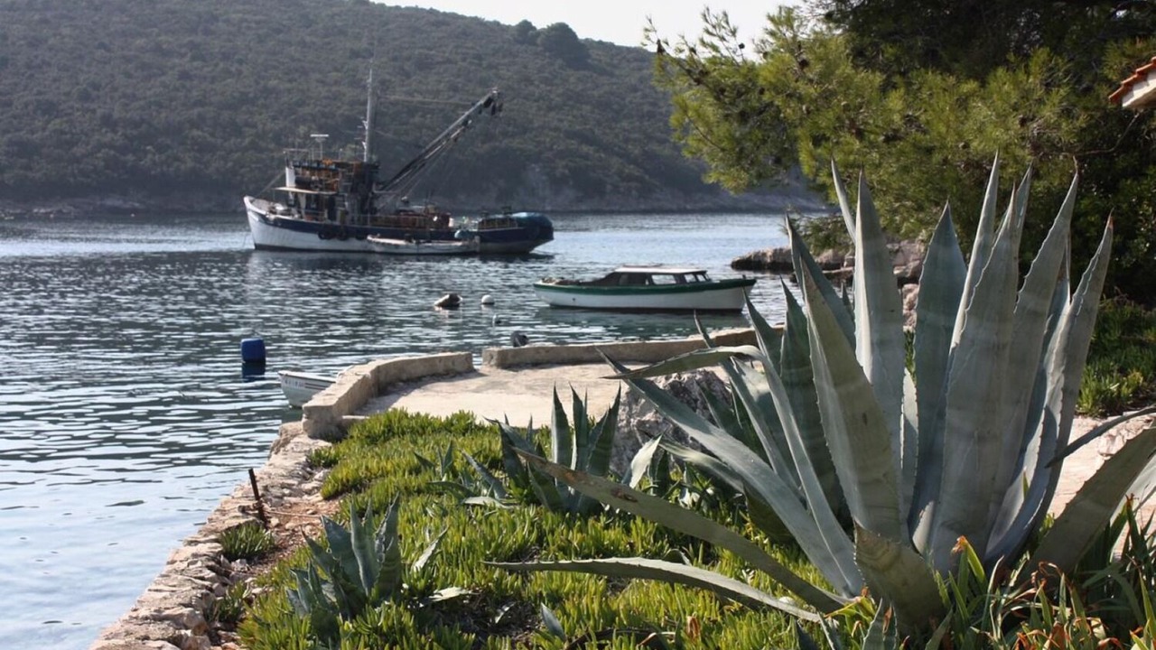 Photo of Outdoor in Maslinica