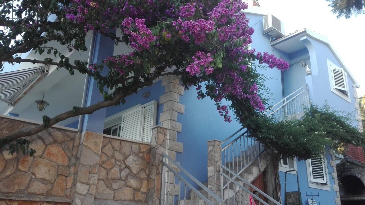 Photo of Outdoor in Maslinica