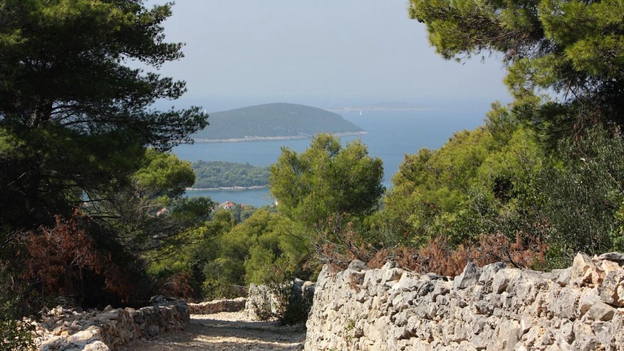 Photo of Outdoor in Maslinica