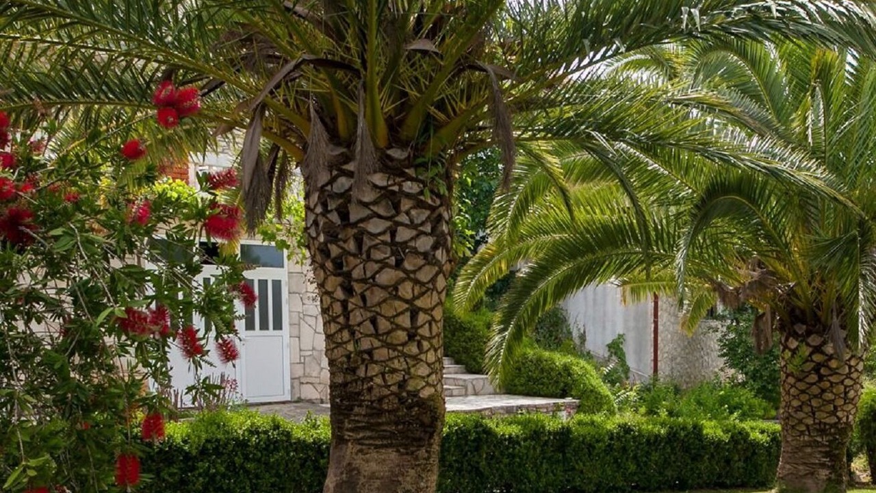 Photo of Outdoor in Stomorska