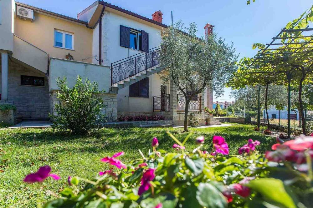 Photo of Outdoor in Nedescina