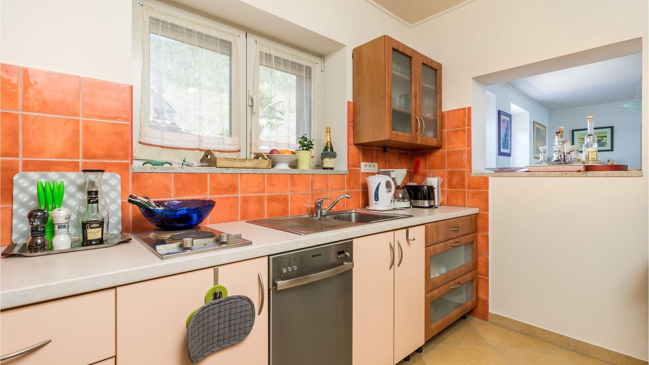 Photo of Kitchen in Tulisevica