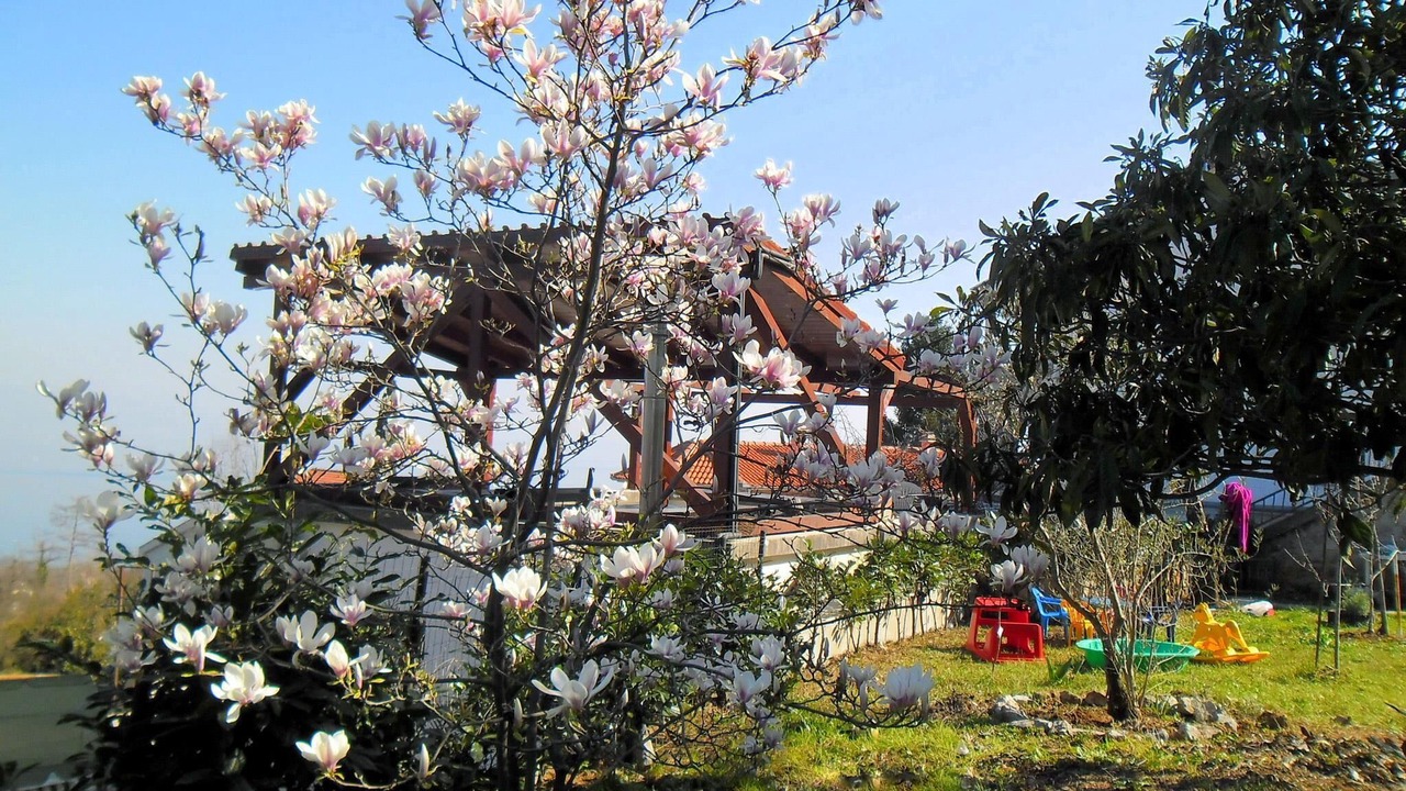 Photo of Outdoor in Opric