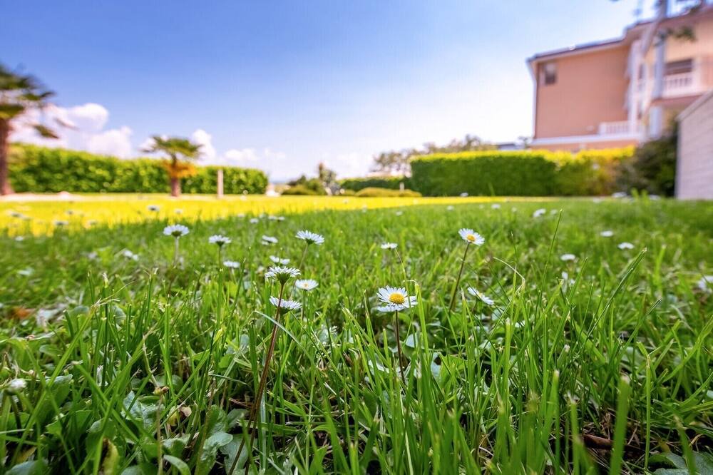 Photo of Outdoor in Zidarici