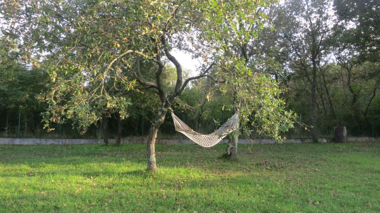 Photo of Outdoor in Vantacici