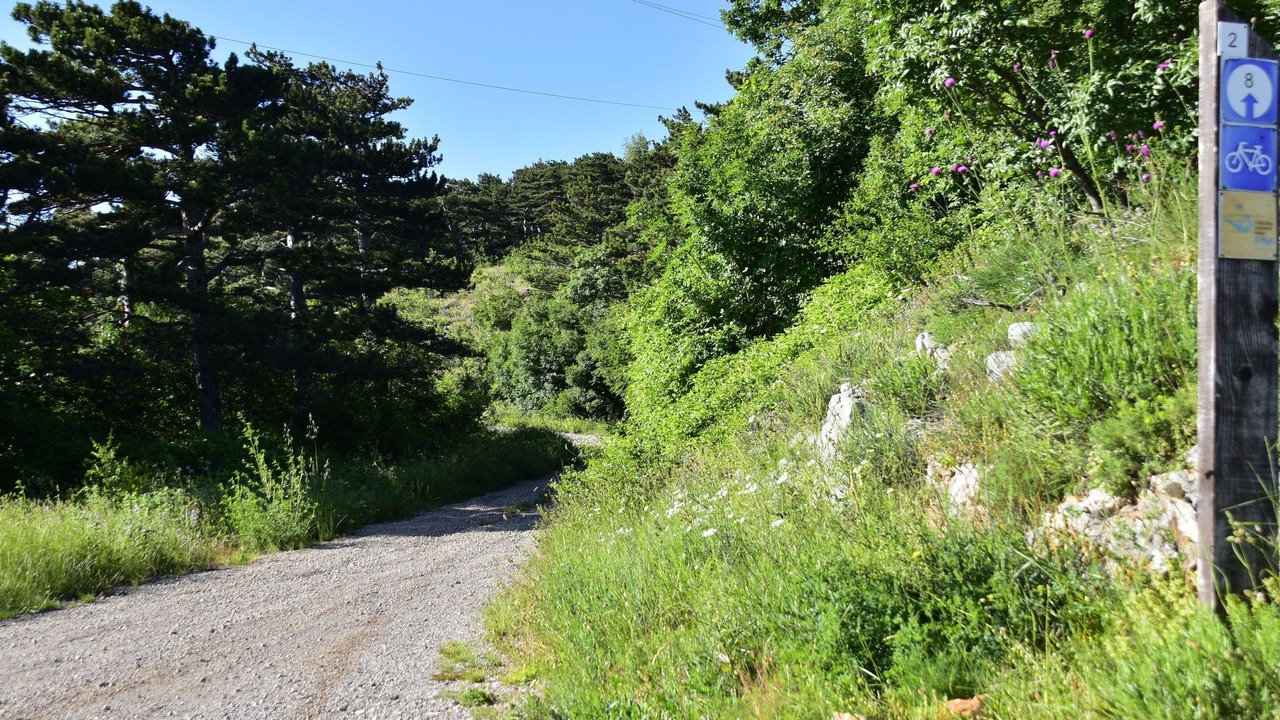 Photo of Outdoor in Vratarusa