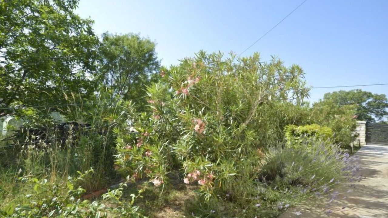 Photo of Outdoor in Krnica