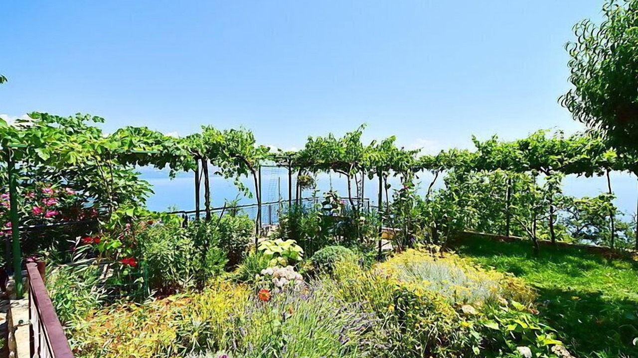 Photo of Outdoor in Tulisevica