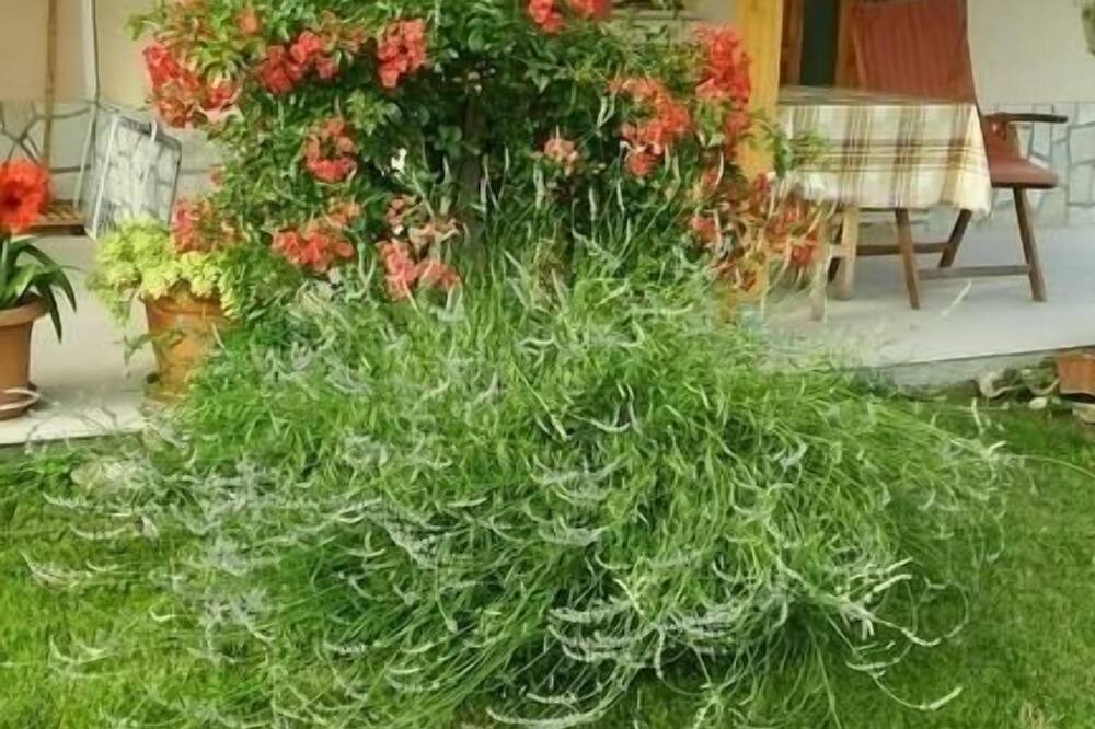 Photo of Outdoor in Ciritez